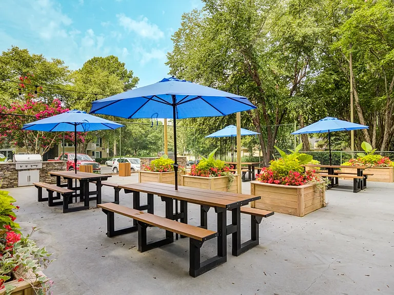 Laurel Oaks — Photo 7