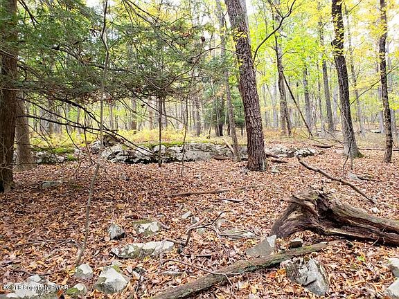 4th image of Sylvan Ln