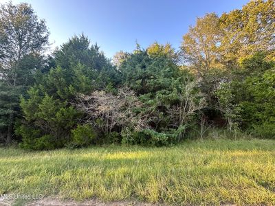 Windy Hill Dr, Flora, MS, 39071