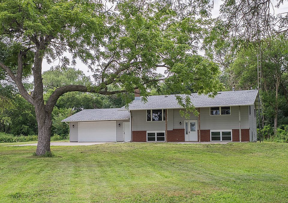 Front yard with walnut tree