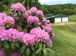 856 Pine Orchard Rd, Butler, TN 37640