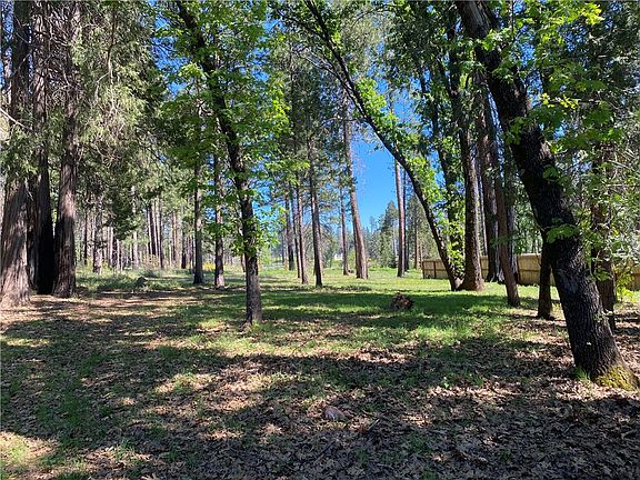 5th image of 13790 Curtis Ct Lot 12