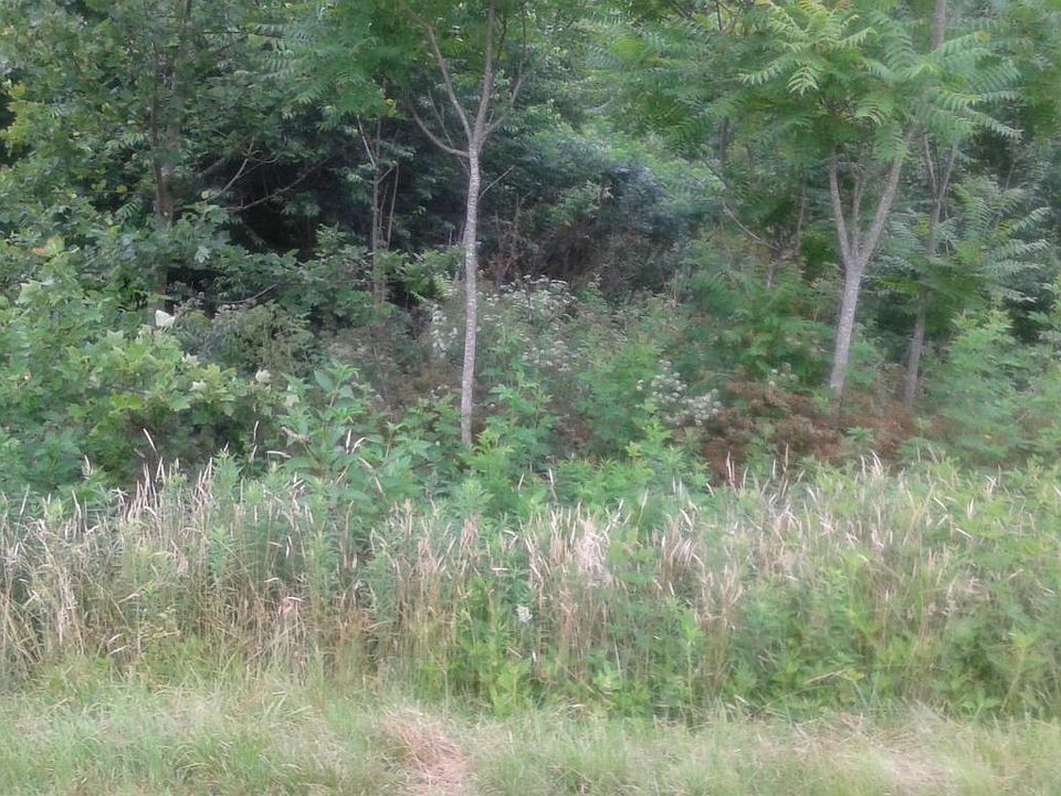 1st image of 120 Big Tree Dr