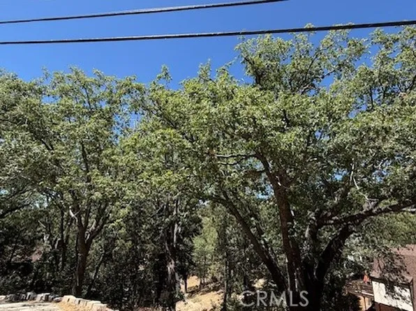 736 Dahlia Dr #29, Green Valley Lake, CA 92341