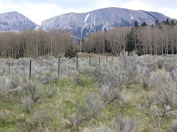 5th image of Forbes Wagon Creek Lot 473 And 474
