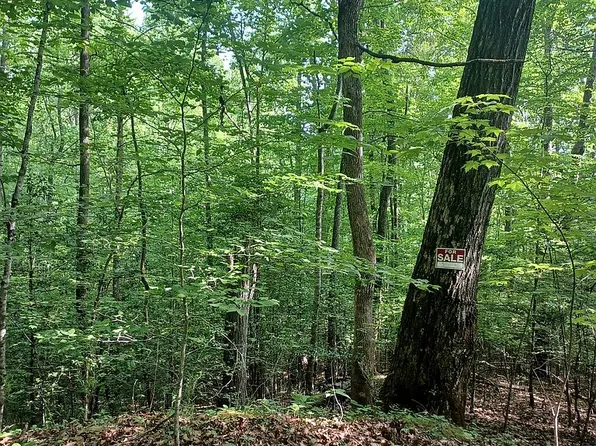0 Shady Knoll Rd #1.50, Franklin, NC 28734