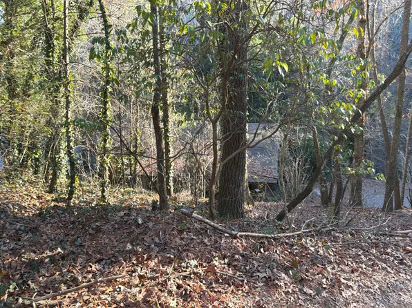 30 Bear Run Cir, Ellijay, GA 30540