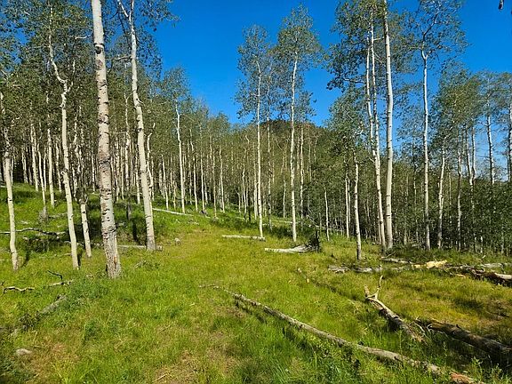 4th image of 40 Summit Mountain Rd