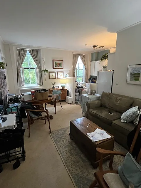 1 bed, 730 sqft, $1,950 — Photo 4