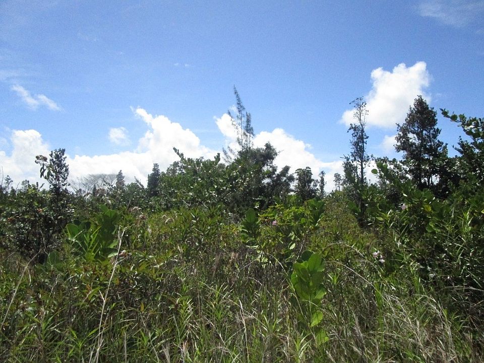 1st image of 1st Avenue Akala Lot 2920