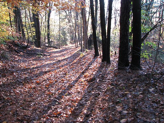 adjacent path to river