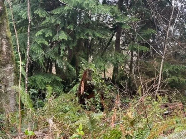 0 x Hwy 105, North Cove, WA 98547