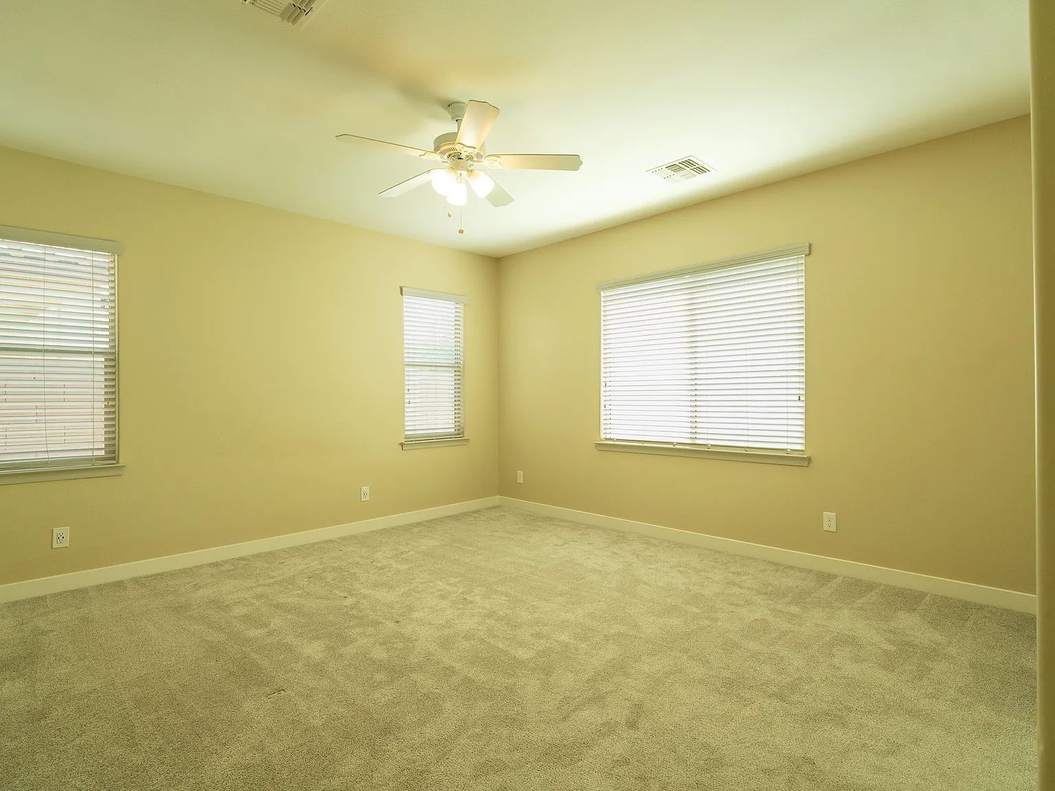 28342 North Cactus Flower Circle - 1 — Photo 3