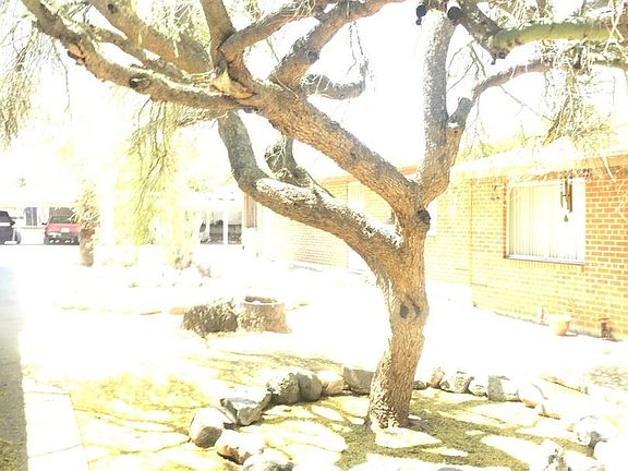 5th image of 3736 E Fairmount St APT 08