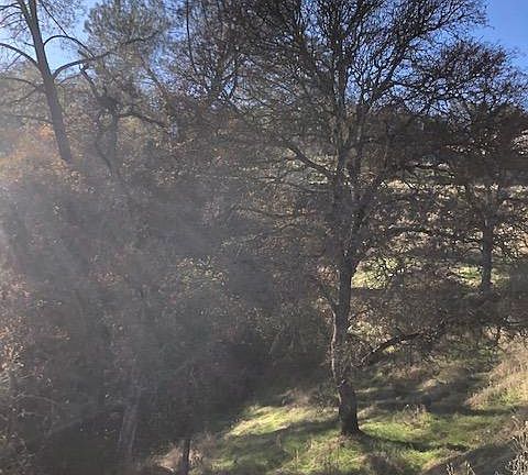 5th image of 4577 Kiva Dr #2176
