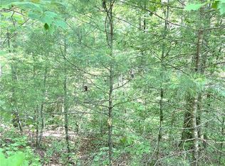 L30 Amelia Dr #30, Ellijay, GA 30540