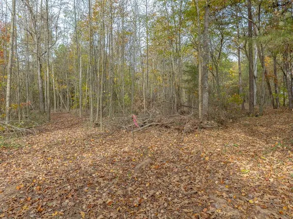 TRACT 3 Old Dalton Cleveland Hwy, Cohutta, GA 30710