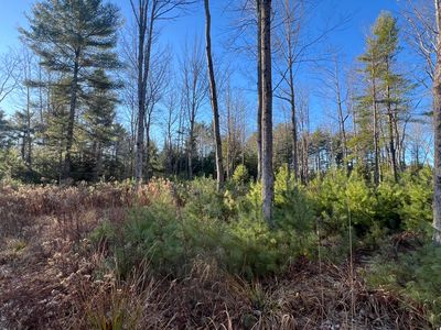 Lot # 7 Cranberry Way, Bowdoinham, ME, 04008