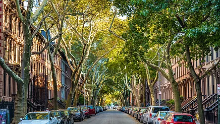 Rented by Brookfield (Funnel)