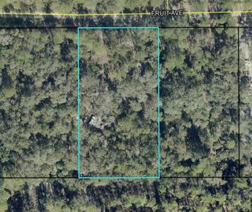 6549 Fruit Ave Lot 7, Bunnell, FL, 32110