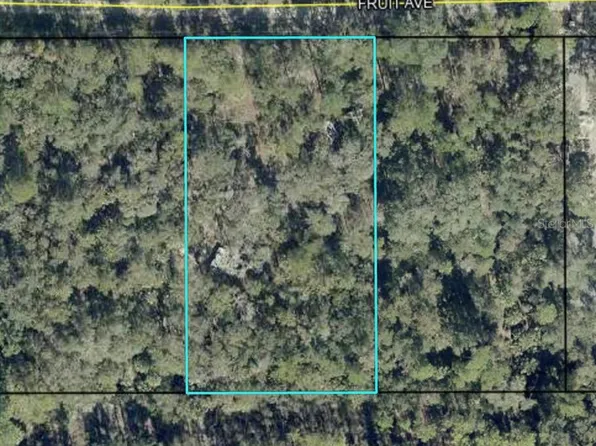 6549 Fruit Ave Lot 7, Bunnell, FL 32110