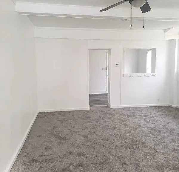 209 Cedar Ave — Photo 5