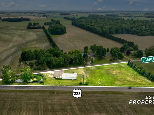 5550 E Carleton Rd, Palmyra, MI 49268