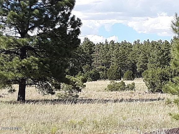 2nd image of 9341 Mountain Meadow Ln