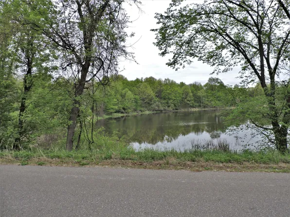 0 Round Lake Rd, Big Rapids, MI 49307
