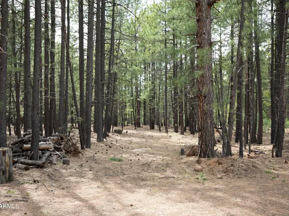 1924 QUILT COUNTRY Drive #781, Forest Lakes, AZ 85931