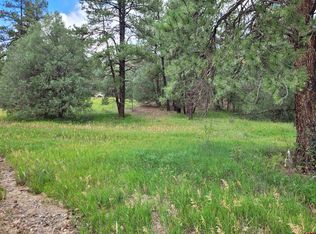 17 Pine Crest Dr, Pagosa Springs, CO 81147