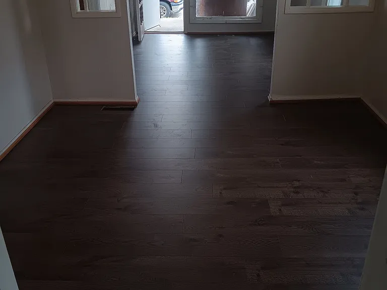 Living room and dining room