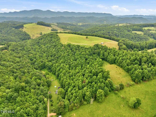 0 Strong Hollow Ln, Fort Blackmore, VA 24250