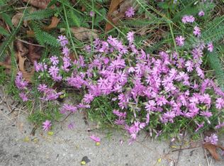 1454 Ardenwood Ave, Lakewood, NJ 08701