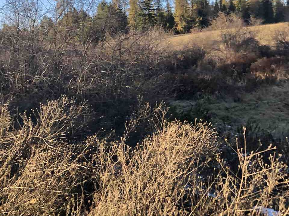 2nd image of W Bridges Rd