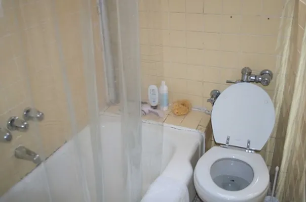 Rented by Citi Habitats | media 38