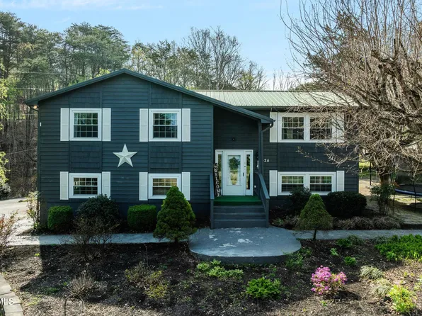 524 Mountain View Dr, Piney Flats, TN 37686