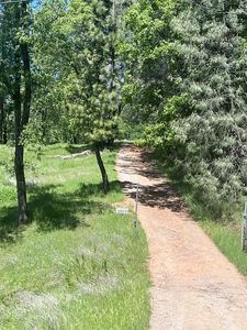 5200 Leisure View Rd, Placerville, CA, 95667