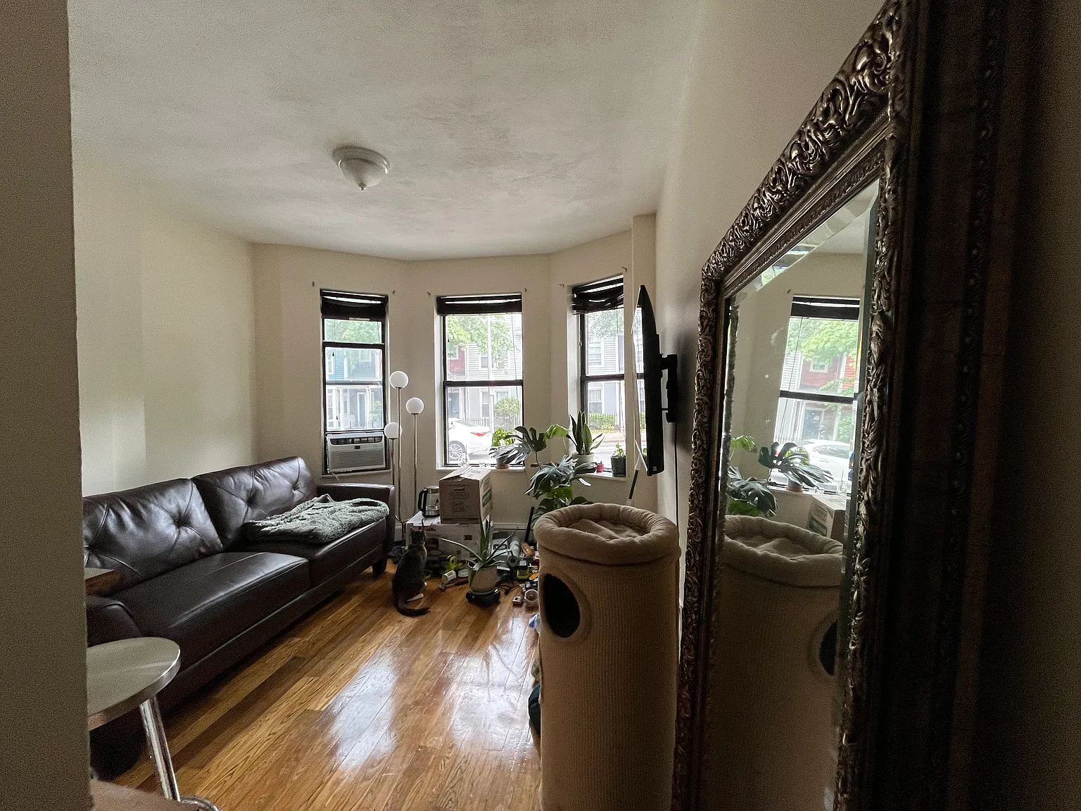 2 bed, 805 sqft, $1,200 — Photo 2