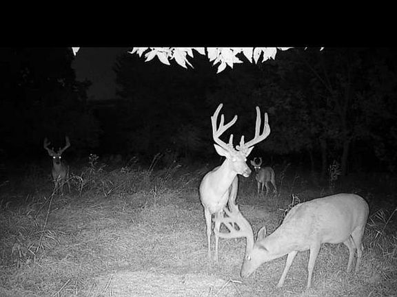 2nd image of 1357 Trefoil Rd SE