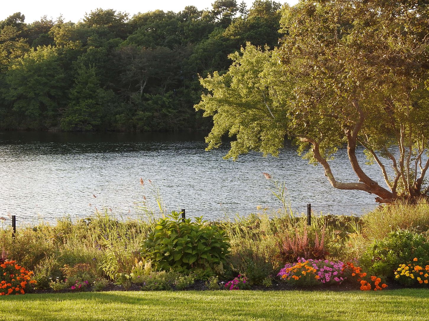  Lakefront