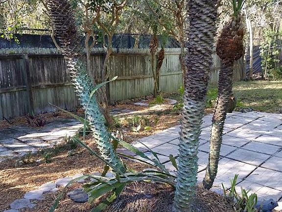 3rd image of 1125 Amanda Kay Cir
