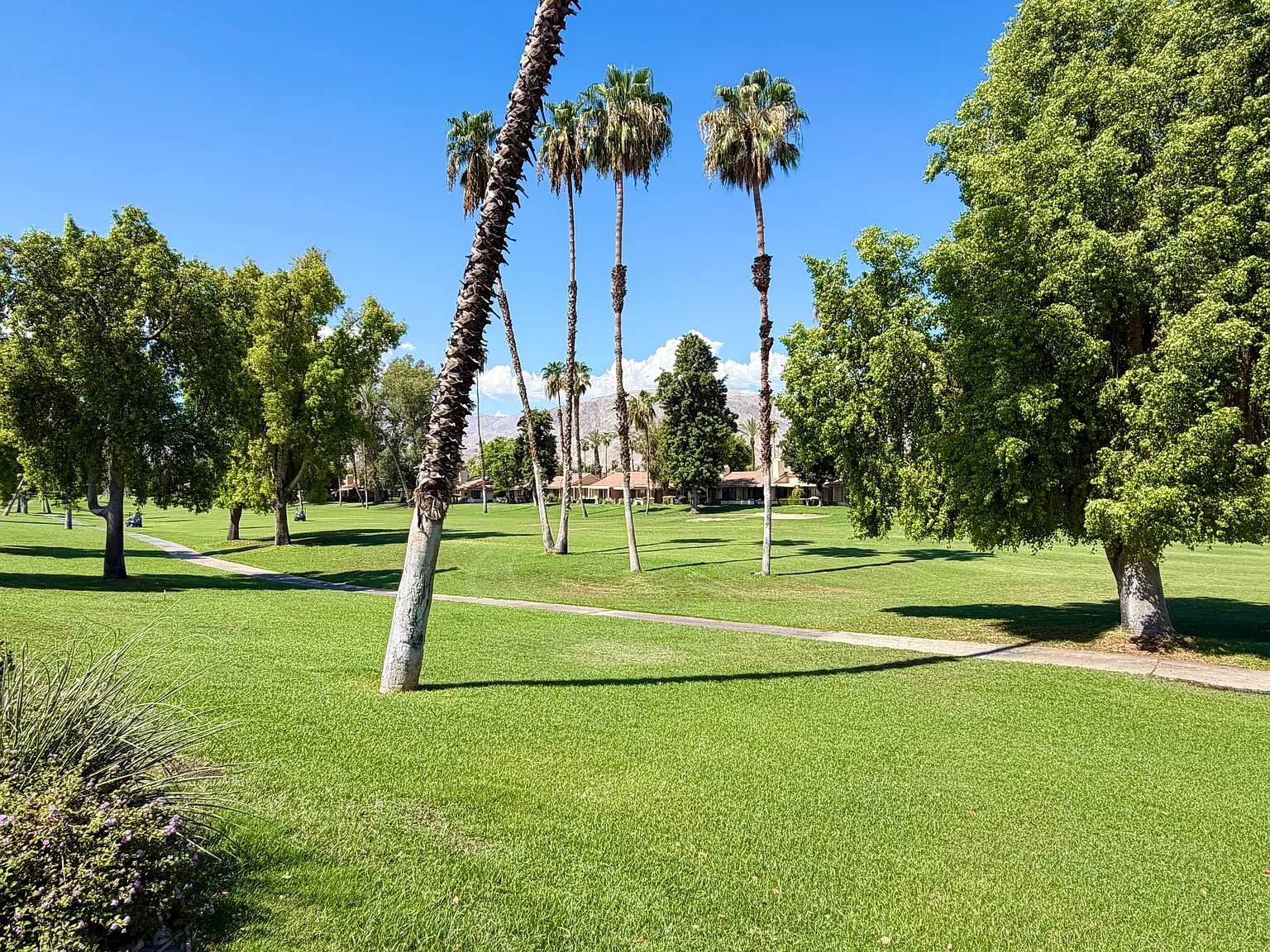 2 bed, 1303 sqft, $6,000 — Photo 2
