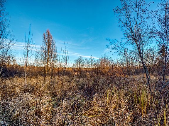 5th image of Dora Lake Rd