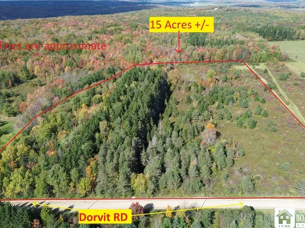 Dorvit Rd, Angelica, NY 14709