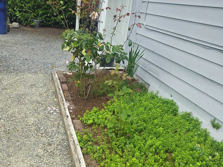 105 Ave SE — Photo 26