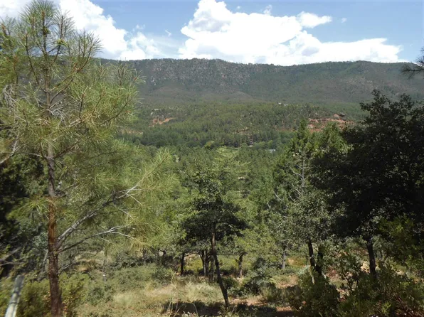16 Canyon Vista Dr, Pine, AZ 85544