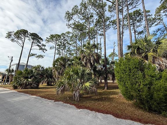 4th image of 124 Painted Pony Rd