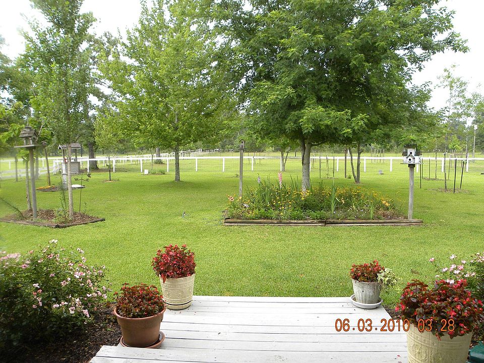 Looking at the front yard from the porch