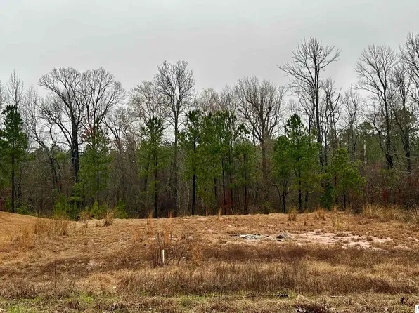 LOT 17 Mount Harmony Church Rd, Ruston, LA 71270